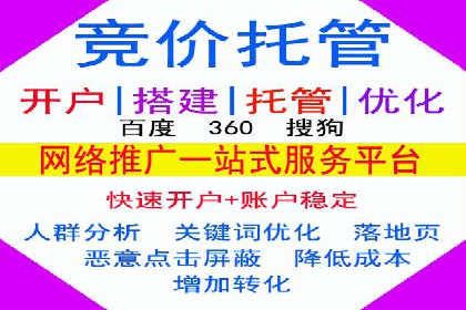 金融行业SEM运营托管的策略与效果